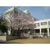 中学校