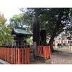 公園
