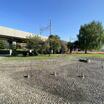 公園