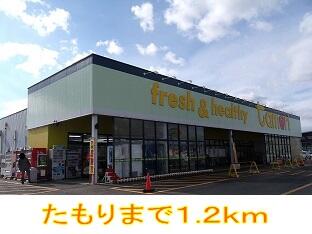 フレッシュたもり