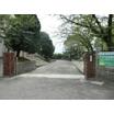 小学校
