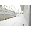 共有部分