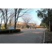 公園