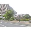幼稚園、保育園