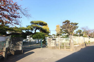 茅ヶ崎市立松林小学校