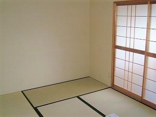 参考写真