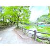 公園
