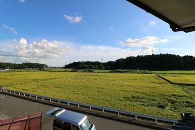 ベランダから見える田んぼの風景です（R6年8月下旬撮影）