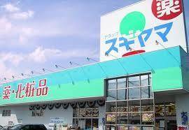 ドラッグスギヤマ北本地ヶ原店