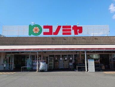 コノミヤ