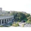 大学