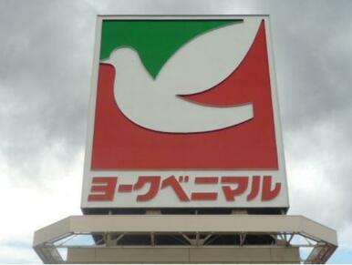 ヨークベニマル