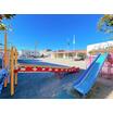 幼稚園、保育園