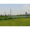 公園