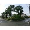 公園