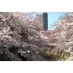 公園