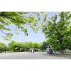 公園
