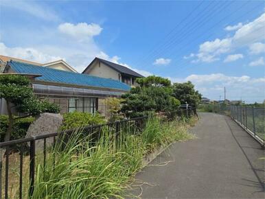 裏手（庭側）歩道です。