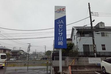 JAセレサ東柿生支店