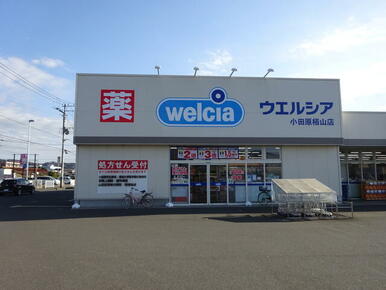 ウエルシア小田原栢山店