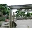 公園