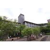 大学