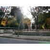 公園