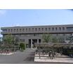 大学