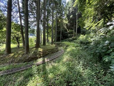 山林が隣接しており、ほどよく樹木が間引かれているので木漏れ日がとても気持ち良いです。