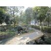 公園