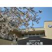 幼稚園、保育園