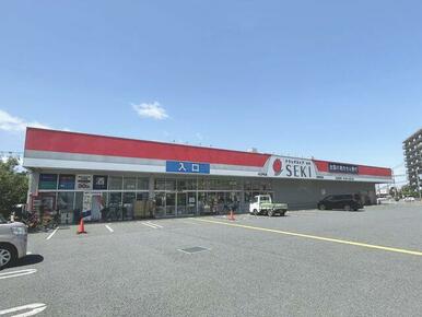 ドラッグストアセキ 向陽町店
