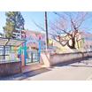 幼稚園、保育園
