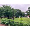 公園