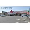 販売店