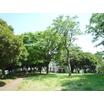 公園