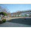 公園