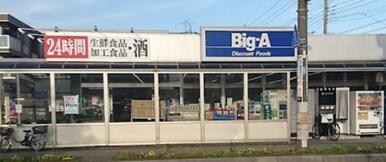 ビッグ・エー三郷駅前店