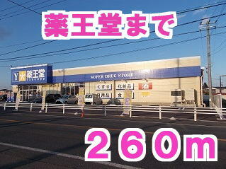 薬王堂