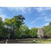 公園