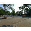 公園