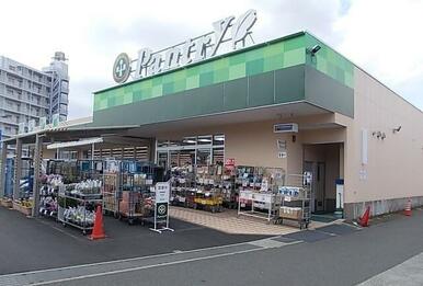 小田原百貨店板橋店