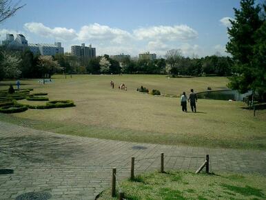 多摩中央公園