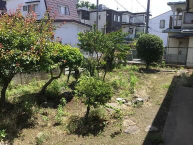 建物南側の庭部分。植栽も撤去して引き渡します。