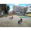 公園