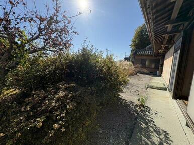 日当たりの良い建物側スペース