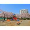 公園