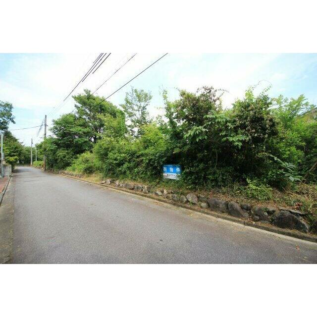 草木がそのままのため、造成工事が必要です