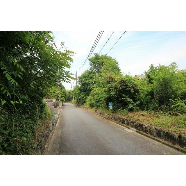売り土地と前面道路