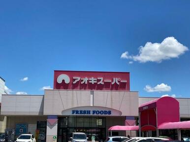 アオキスーパーニッケタウン稲沢店